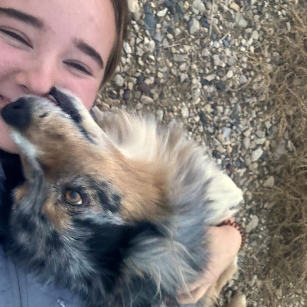 Meet your Posher, Emily